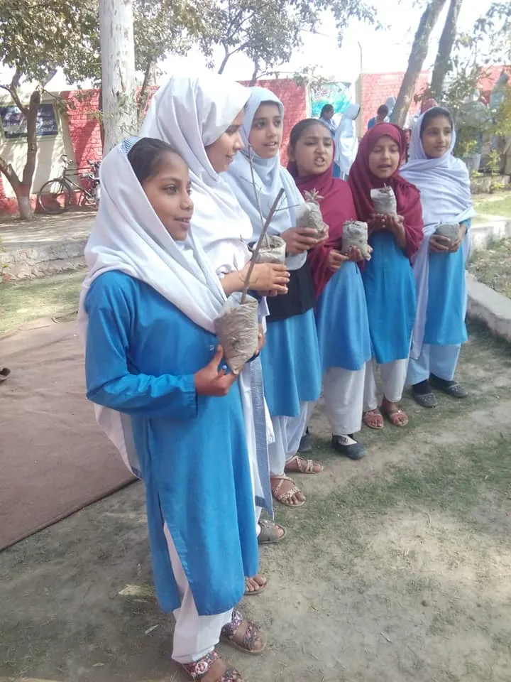 Green Seekers Activity